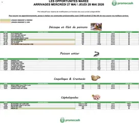 Prévisualisation de Promocash Opportunités Marée du magasin Promocash formulaire valide 27/05/2026