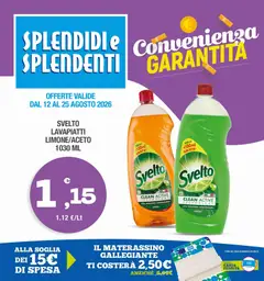 Anteprima dell'opuscolo Splendidi e Splendenti volantino dal negozio Splendidi e Splendenti valido da 12/08/2026