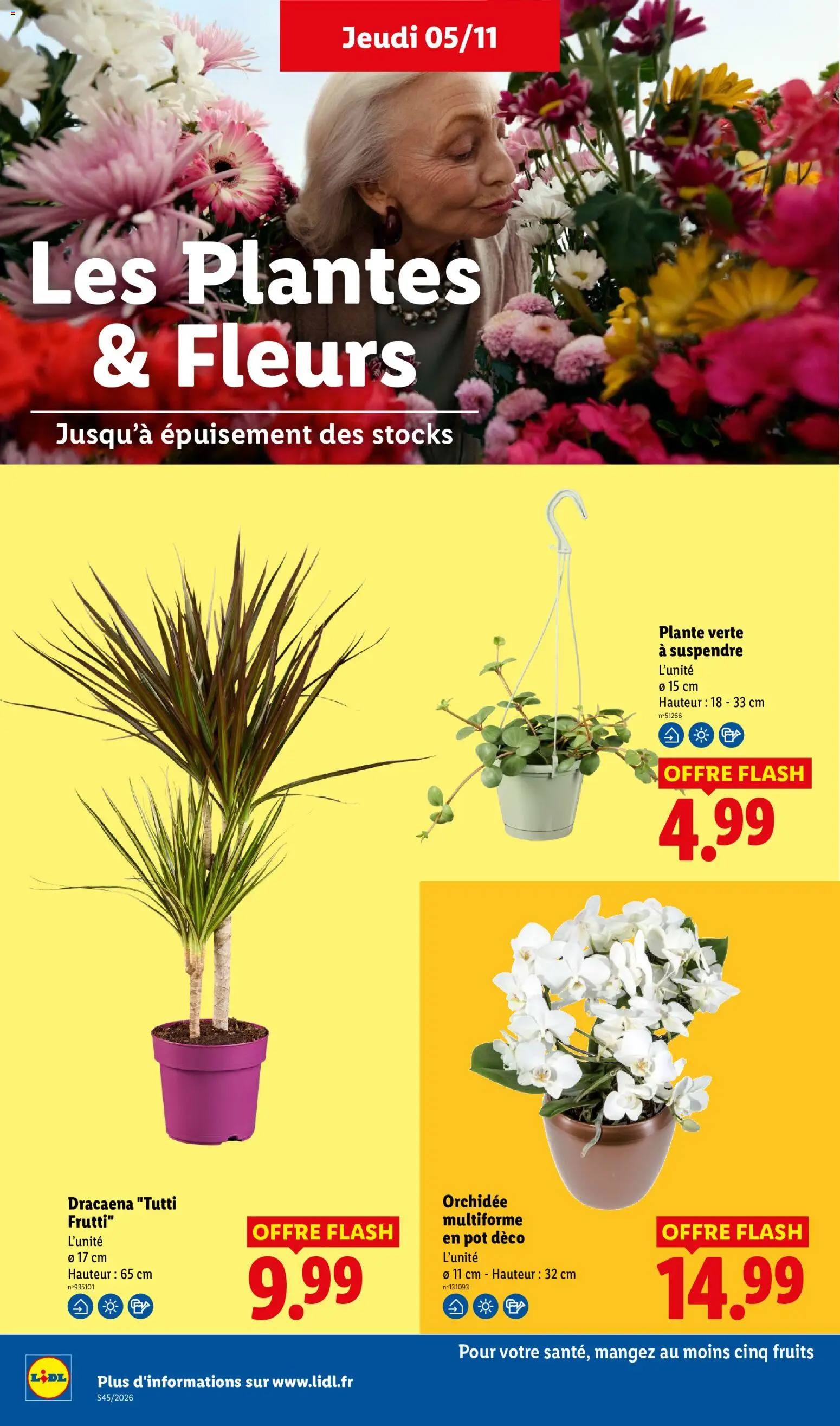 Prévisualisation de LIDL catalogue du magasin LIDL formulaire valide 05/11/2026