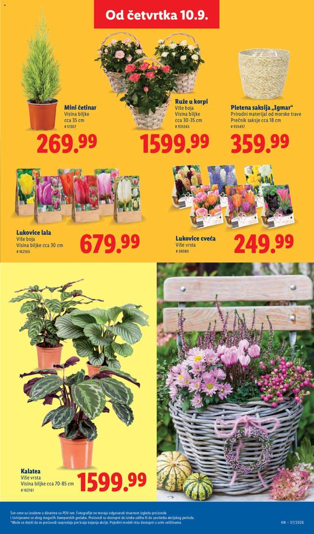 Novi Lidl katalog od 10.09.