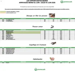 Prévisualisation de Promocash Opportunités Marée du magasin Promocash formulaire valide 02/06/2026