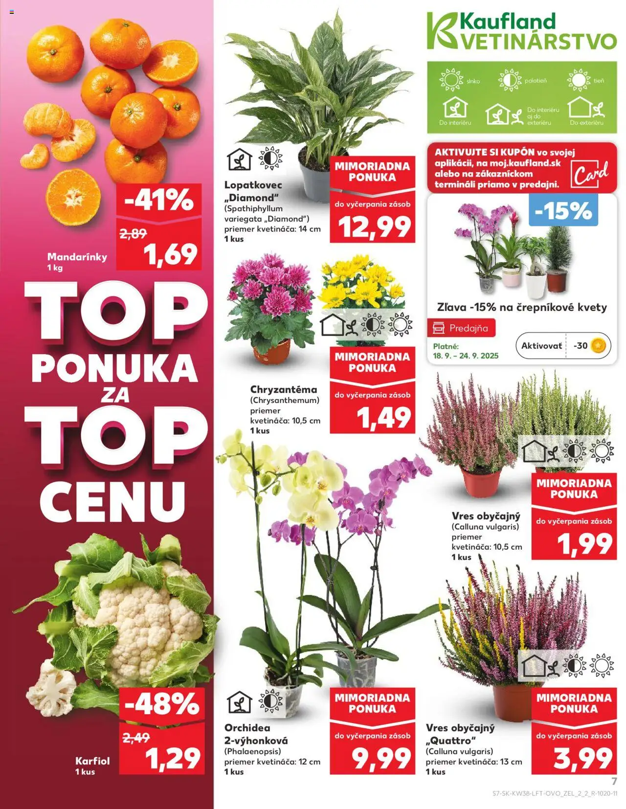 Náhľad Kaufland letáku platného od 18.09.2025 - Kvety, Orchidea, Karfiol, Mandarinky
