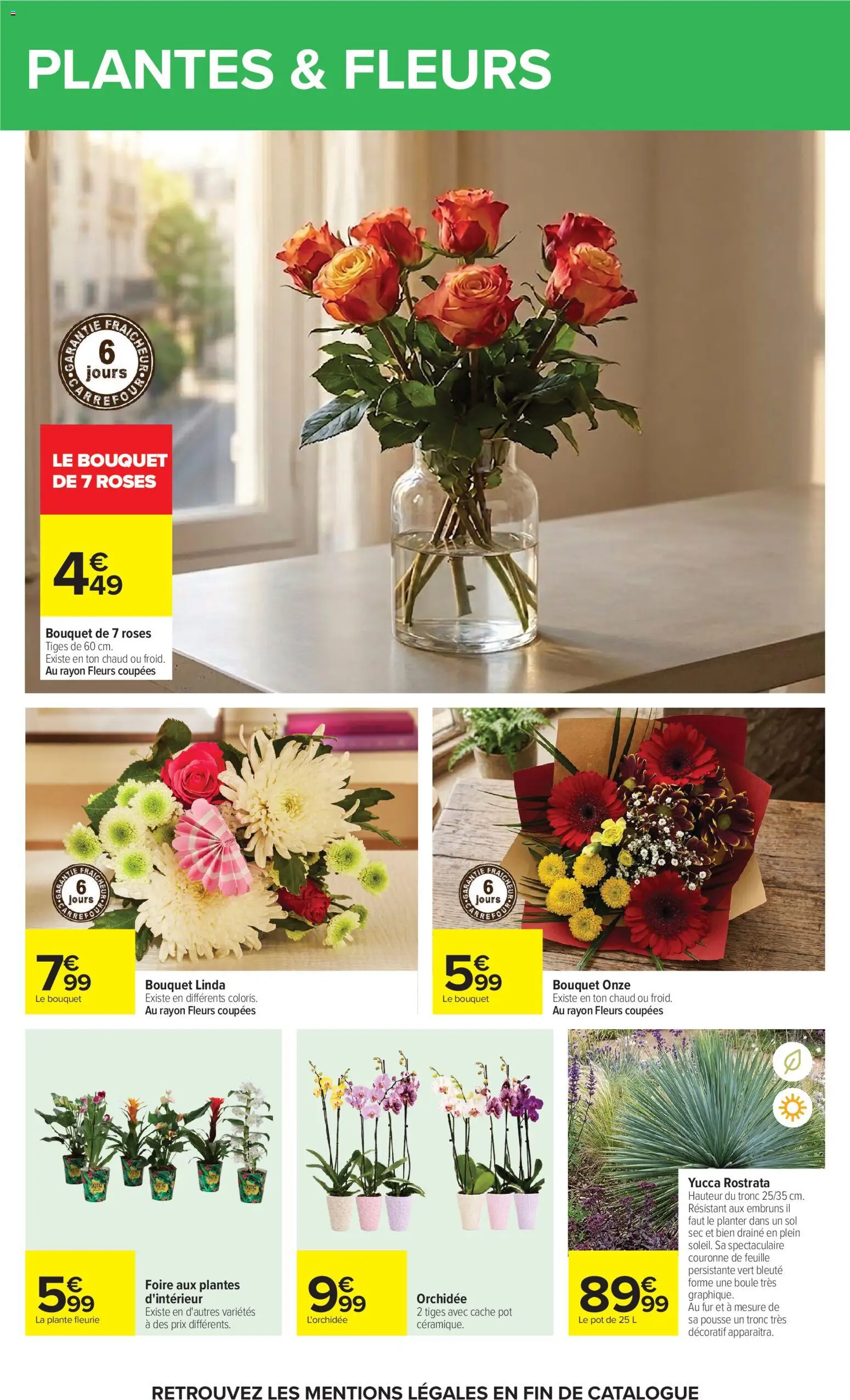 Prévisualisation de Carrefour Market Petit dejeuner du magasin Carrefour Market formulaire valide 01/09/2026 - Fleurs, Plantes, Orchidée, Four, L'orchidée