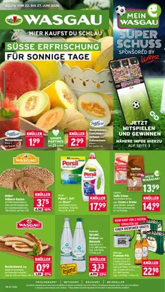 Vorschau von dem Prospekt des Geschäftes Wasgau, gültig ab dem 22.06.2026