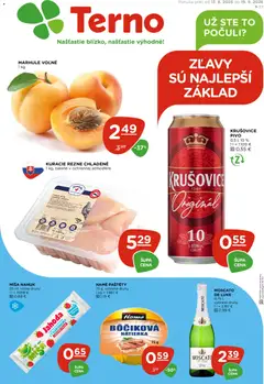 Náhľad Terno letáku platného od 13.08.2026