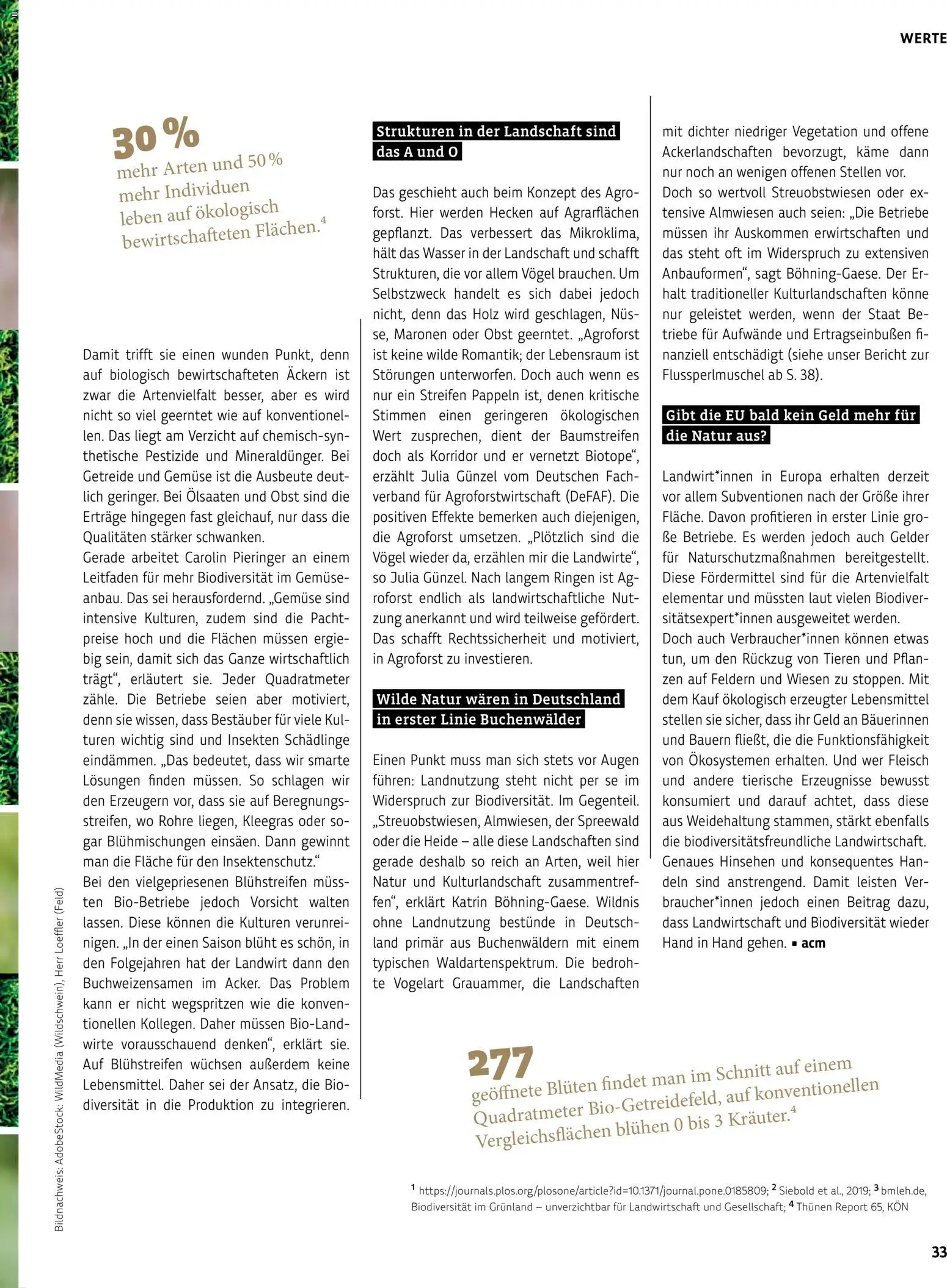 Vorschau von dem Prospekt des Geschäftes BioMarkt, gültig ab dem 17.07.2026 - Wasser, Gemüse, Obst, Fleisch, Getreide