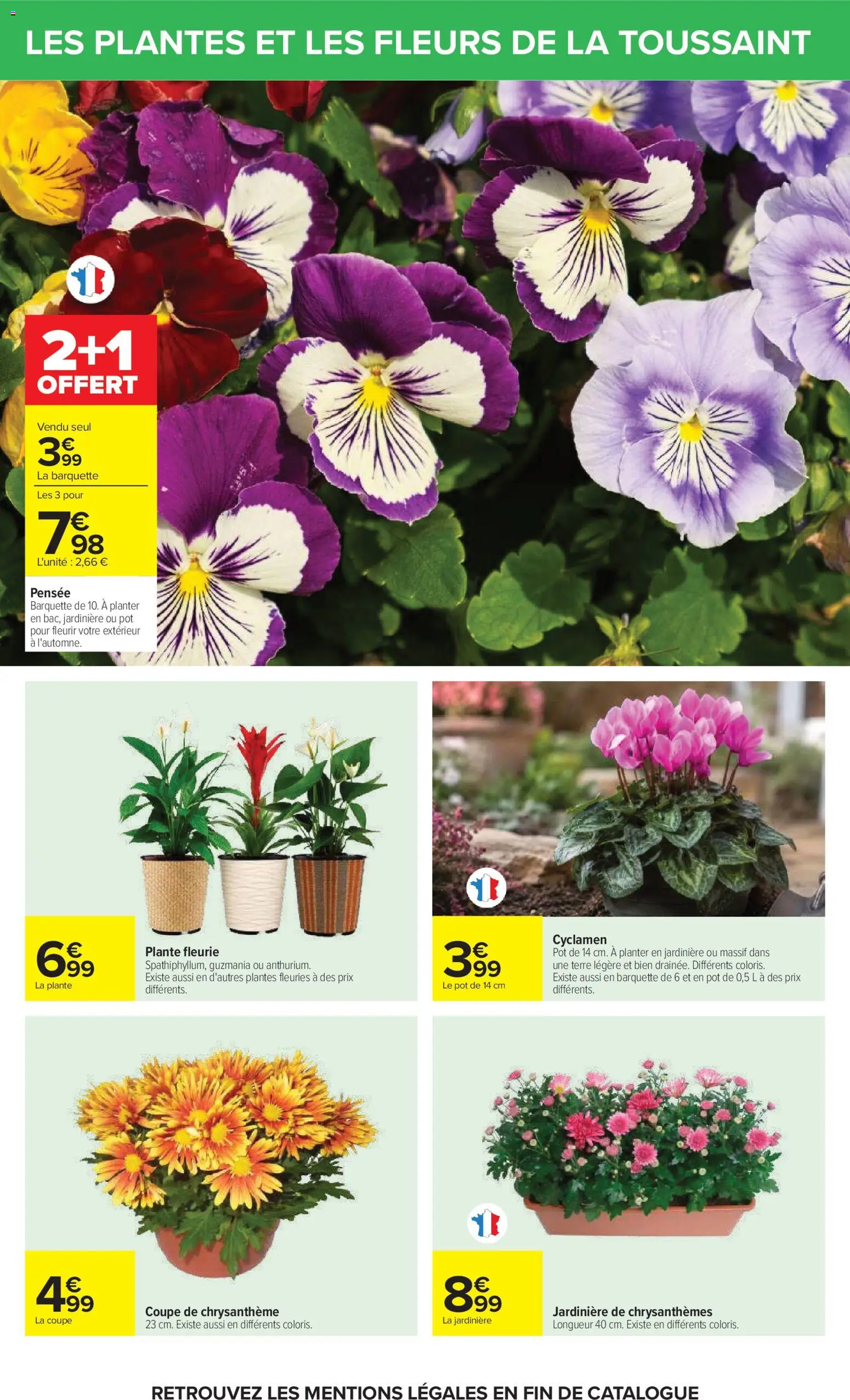 Prévisualisation de Carrefour catalogue du magasin Carrefour formulaire valide 20/10/2026 - Fleurs, Plantes, Chrysanthèmes, Chrysanthème, Jardinière, Cyclamen