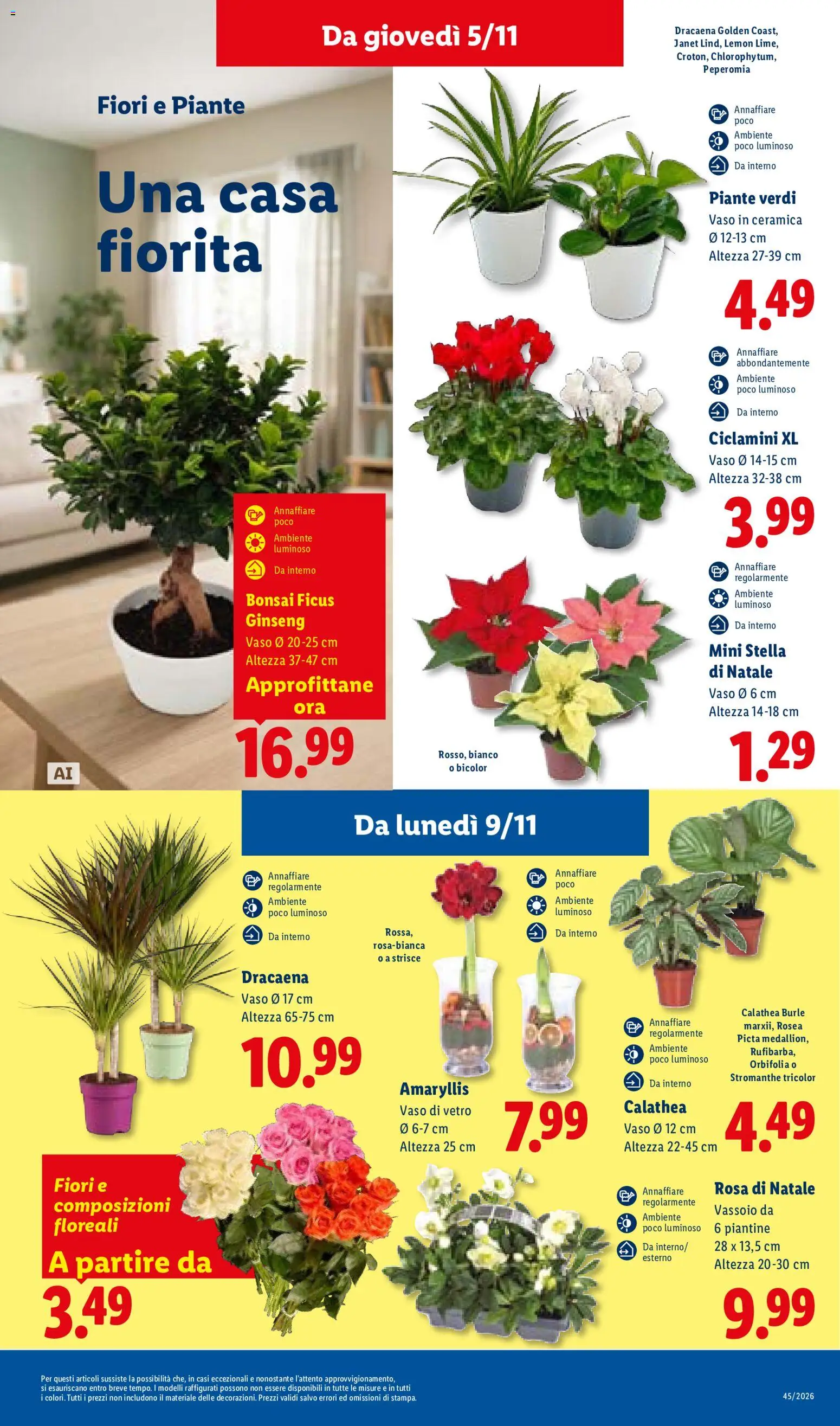 Anteprima dell'opuscolo Lidl volantino Sicilia dal negozio Lidl valido da 02/11/2026 - Fiori, Vaso, Strisce, Vassoio