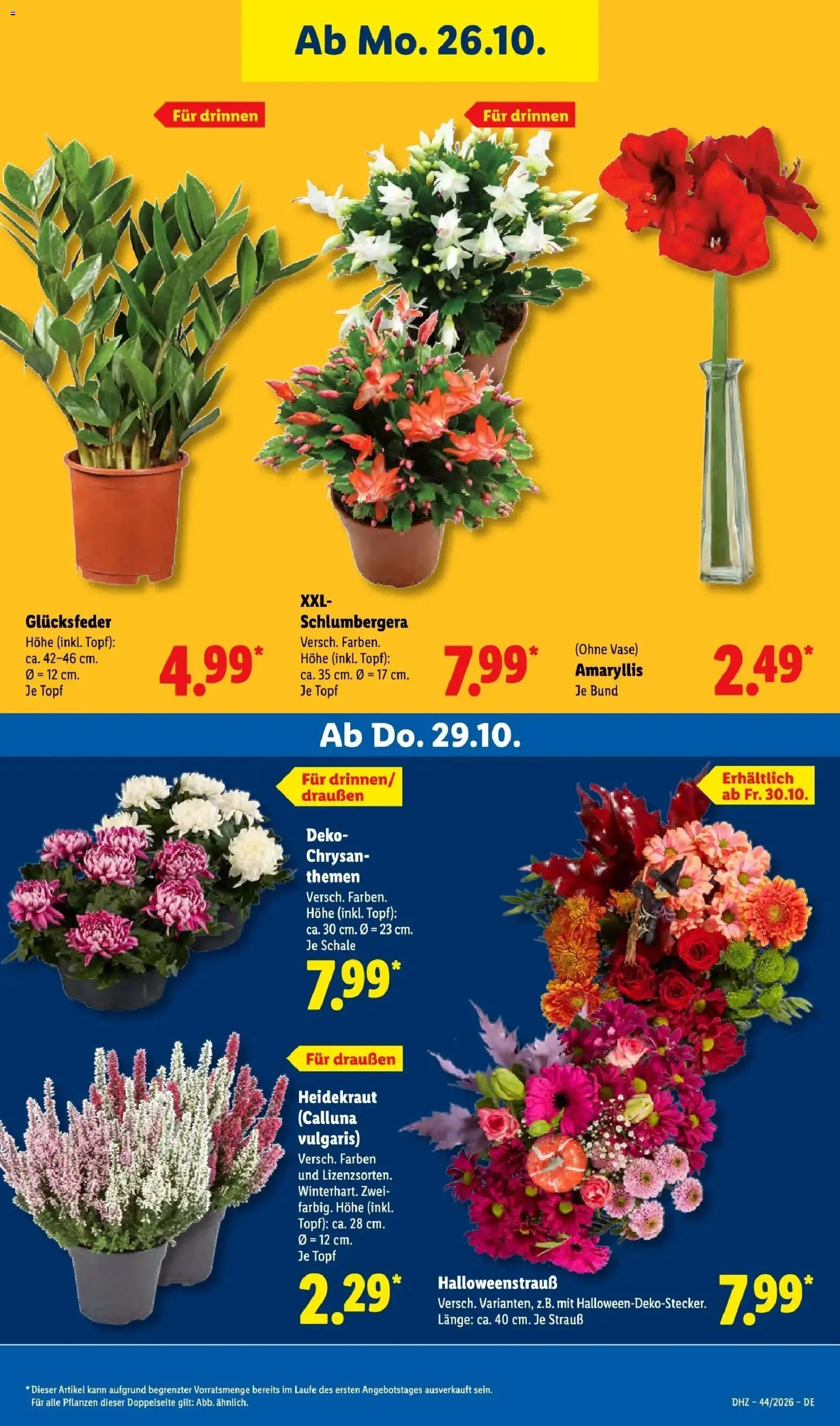 Vorschau von dem Prospekt des Geschäftes Lidl, gültig ab dem 26.10.2026 - Vase