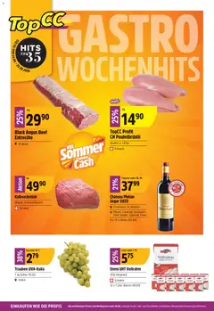 Vorschau des Merkblatts TopCC aktionen vom Shop TopCC gültig von 24.08.2026 bis 29.08.2026