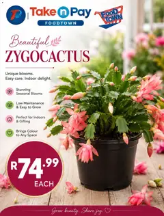 Preview of Take n Pay flyer valid from 28/08/2026