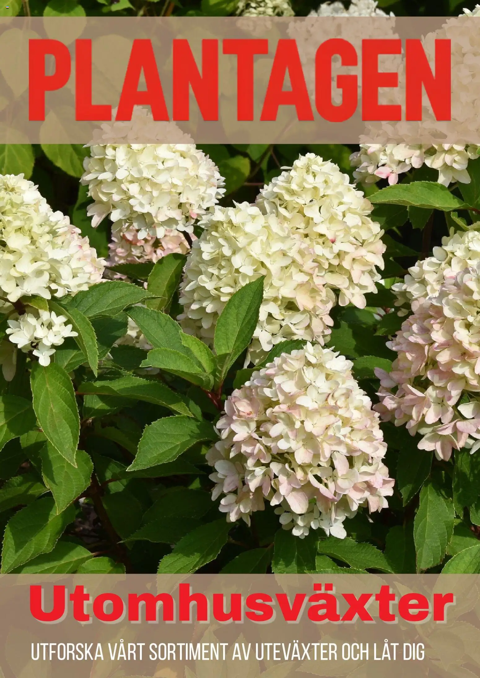 Förhandsgranska reklamblad Plantagen erbjudanden från butik Plantagen gäller från 01/09/2026