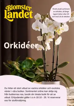 Förhandsgranska reklamblad Blomsterlandet erbjudanden från butik Blomsterlandet gäller från 09/10/2026