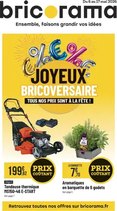 Prévisualisation de Bricorama catalogue du magasin Bricorama formulaire valide 06/05/2026