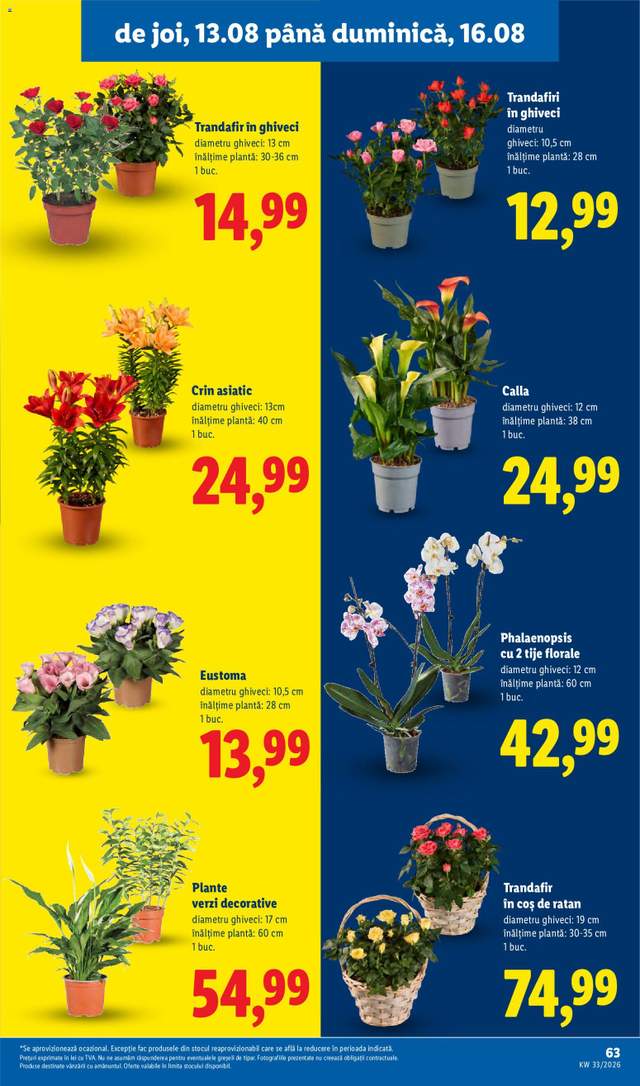 Noul catalog Lidl de la 10.08.