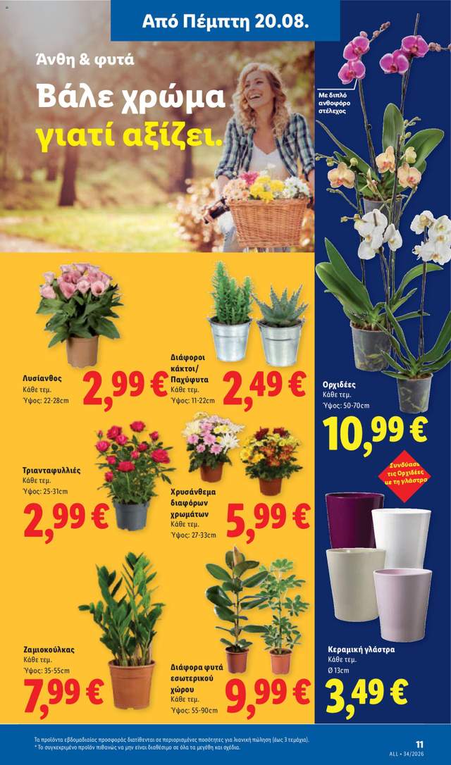 Νέο φυλλάδιο Lidl από τις 20/08