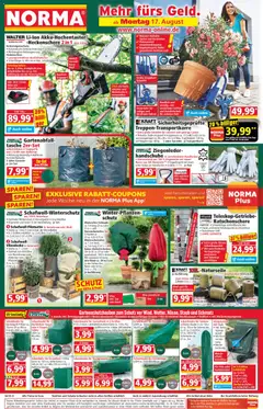 Vorschau von dem Prospekt des Geschäftes Norma, gültig ab dem 17.08.2026