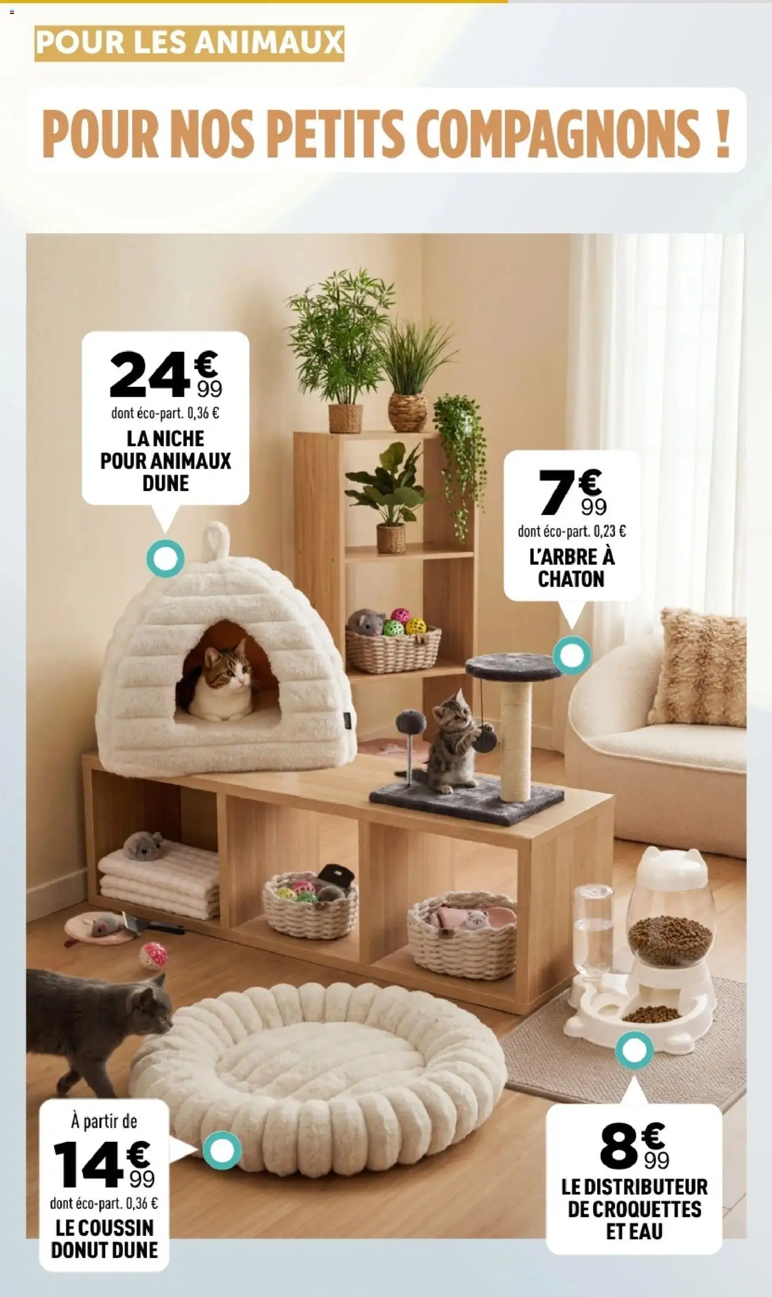 Prévisualisation de Centrakor catalogue du magasin Centrakor formulaire valide 19/10/2026 - Distributeur, Donut, Croquettes