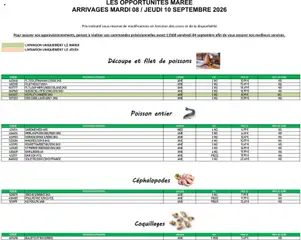 Prévisualisation de Promocash Opportunités Marée du magasin Promocash formulaire valide 08/09/2026