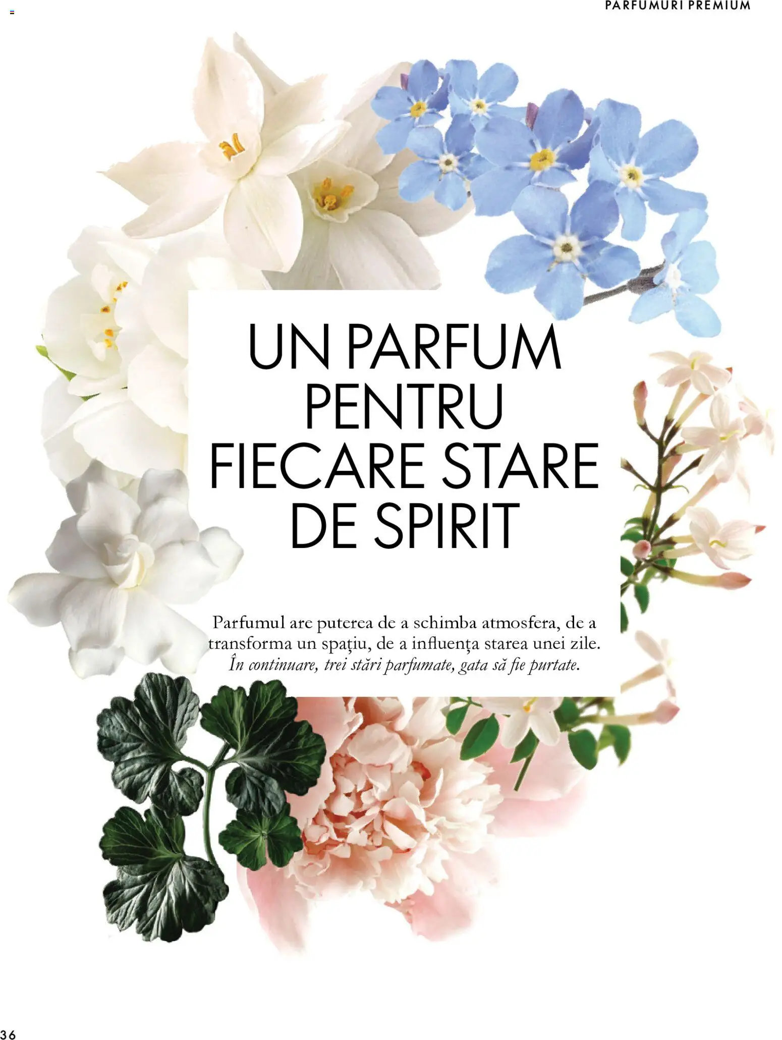 Previzualizarea de cataloage: Oriflame Oriflame Catalog 15 2026 valabil de la 11.11.2026 - Parfum, Premium