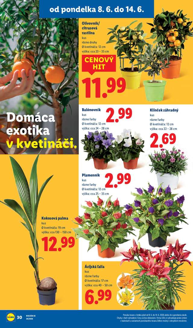 Nový Lidl leták od 08.06.