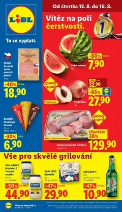 Náhled nabídky: Lidl Lidl aktuální leták platný od 13.08.2026