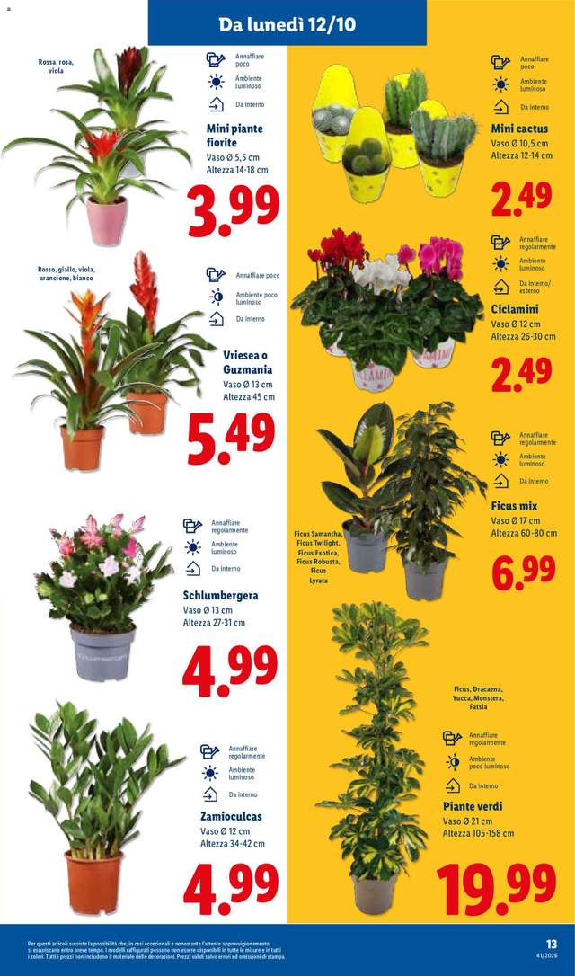 Nuovo volantino Lidl dal 08/10