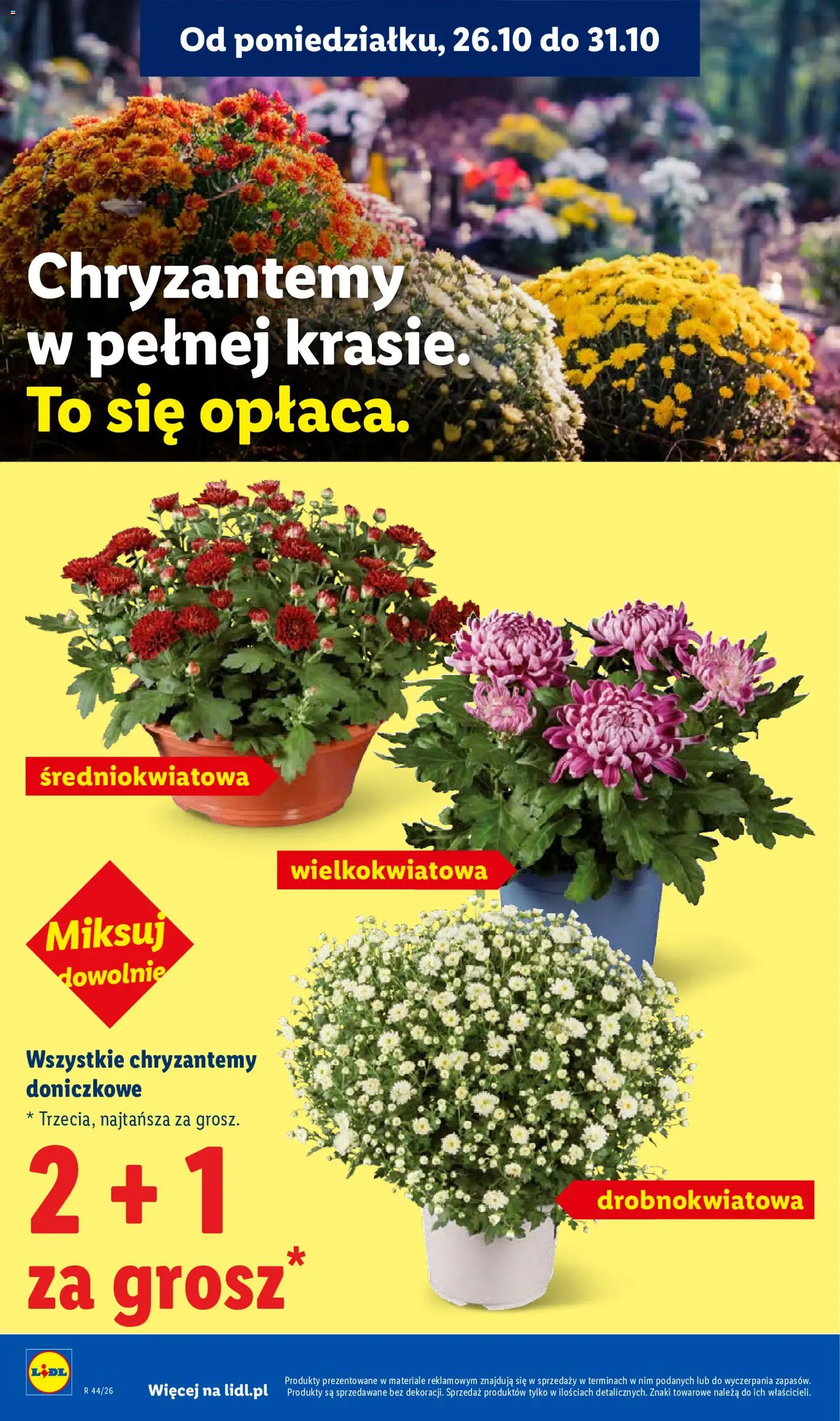 Pogląd gazetki "Lidl gazetka" ze sklepu Lidl ważnej od 29.10.2026