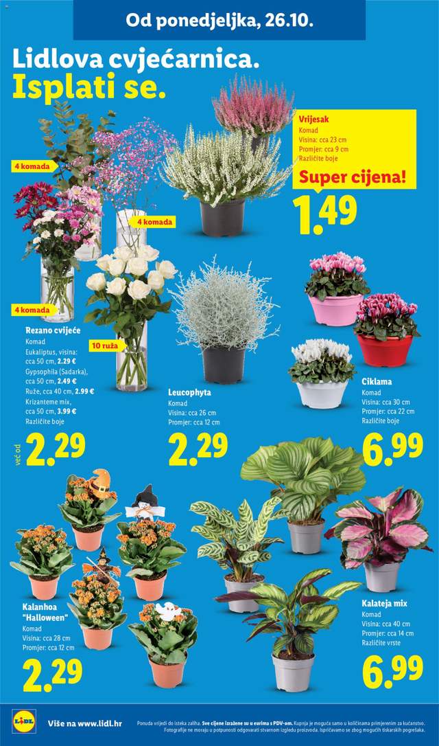 Novi Lidl katalog od 26.10.