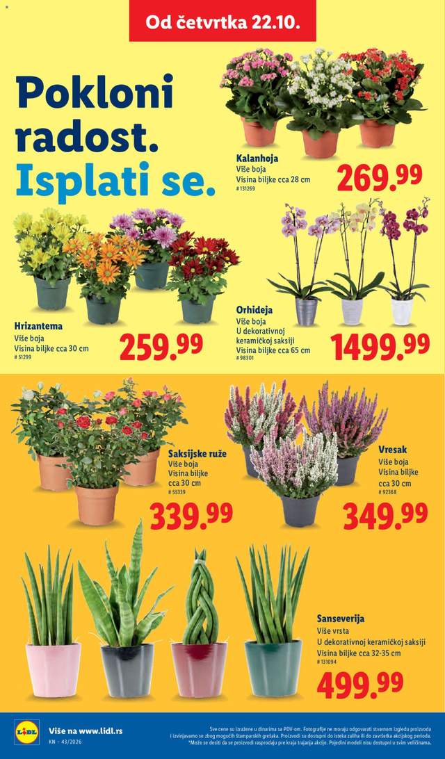 Novi Lidl katalog od 22.10.
