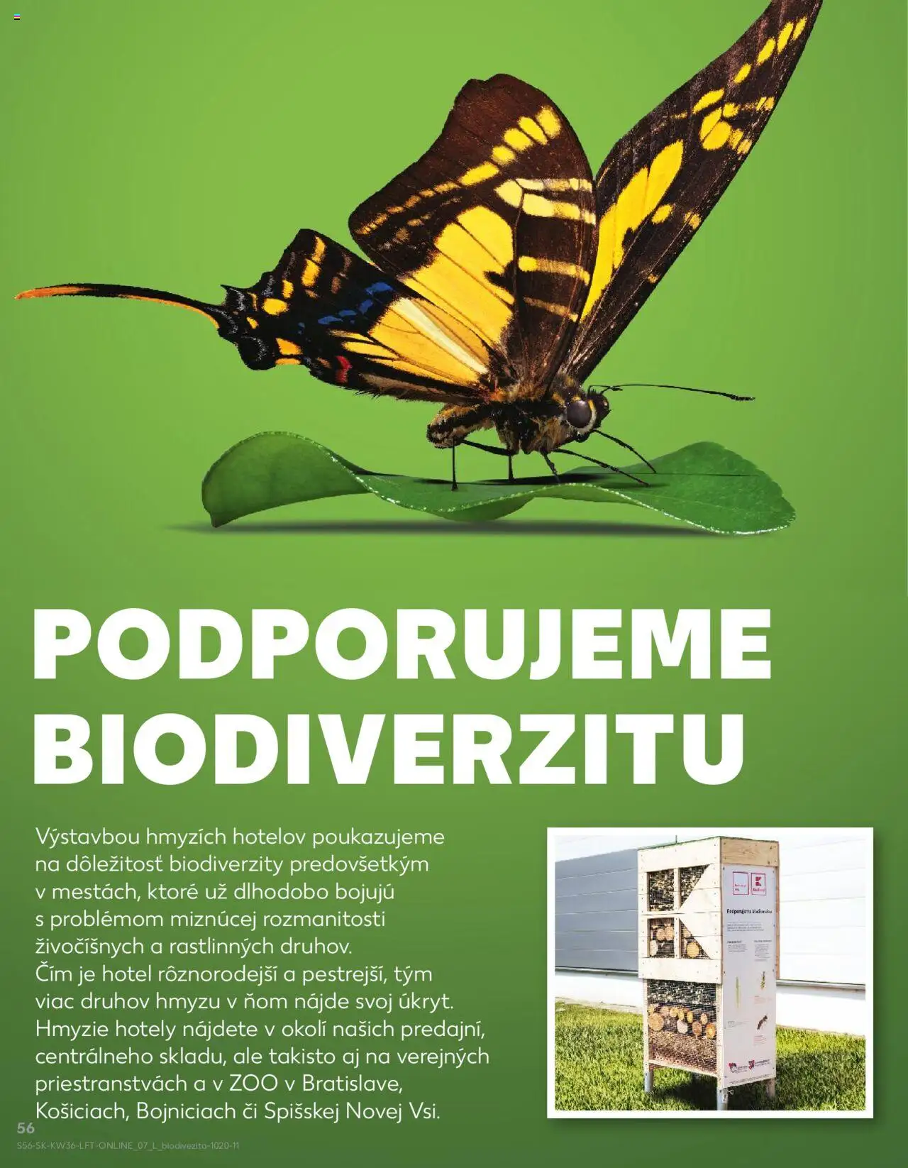 Náhľad Kaufland letáku platného od 04.09.2025