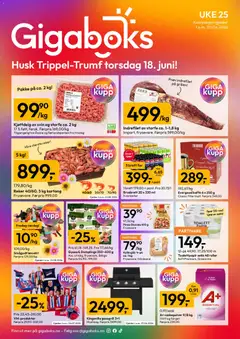 Forhåndsvis Gigaboks kundeavis fra butikk Gigaboks gyldig fra 15/06/2026