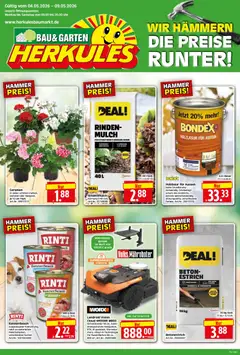Vorschau von dem Prospekt des Geschäftes HERKULES, gültig ab dem 04.05.2026