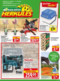 Vorschau von dem Prospekt des Geschäftes HERKULES, gültig ab dem 12.10.2026