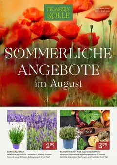 Vorschau von dem Prospekt des Geschäftes Pflanzen-Kölle, gültig ab dem 01.08.2026