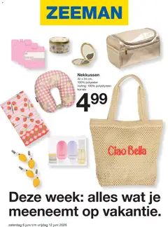 Voorbeeld van Zeeman folder van winkel Zeeman geldig vanaf 06-06-2026