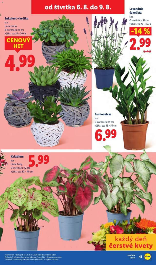 Nový Lidl leták od 03.08.