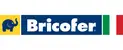 Logo Bricofer