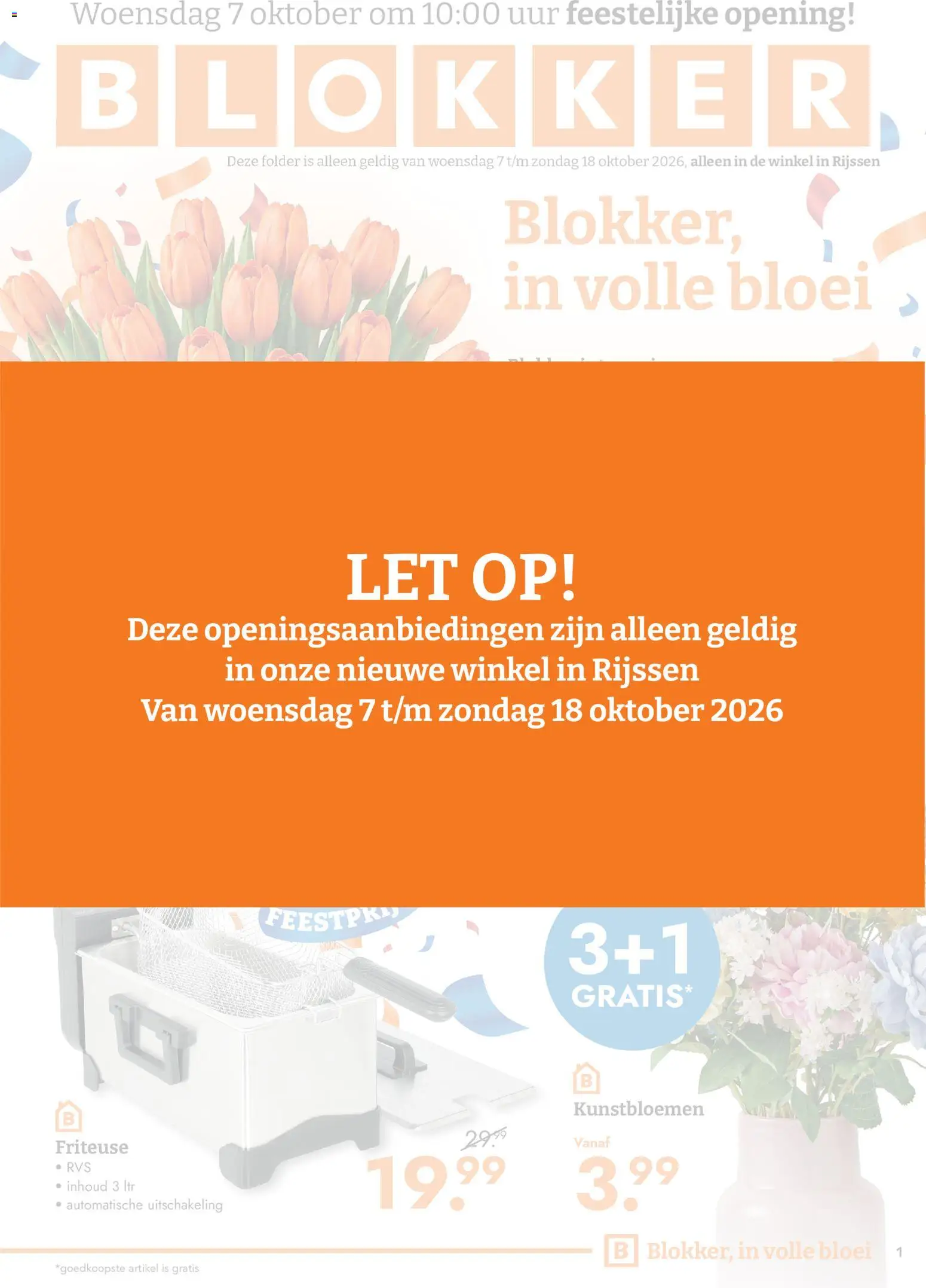 Voorbeeld van Blokker nieuw filiaal Rijssen van winkel Blokker geldig vanaf 07-10-2026 - Kunstbloemen, Friteuse