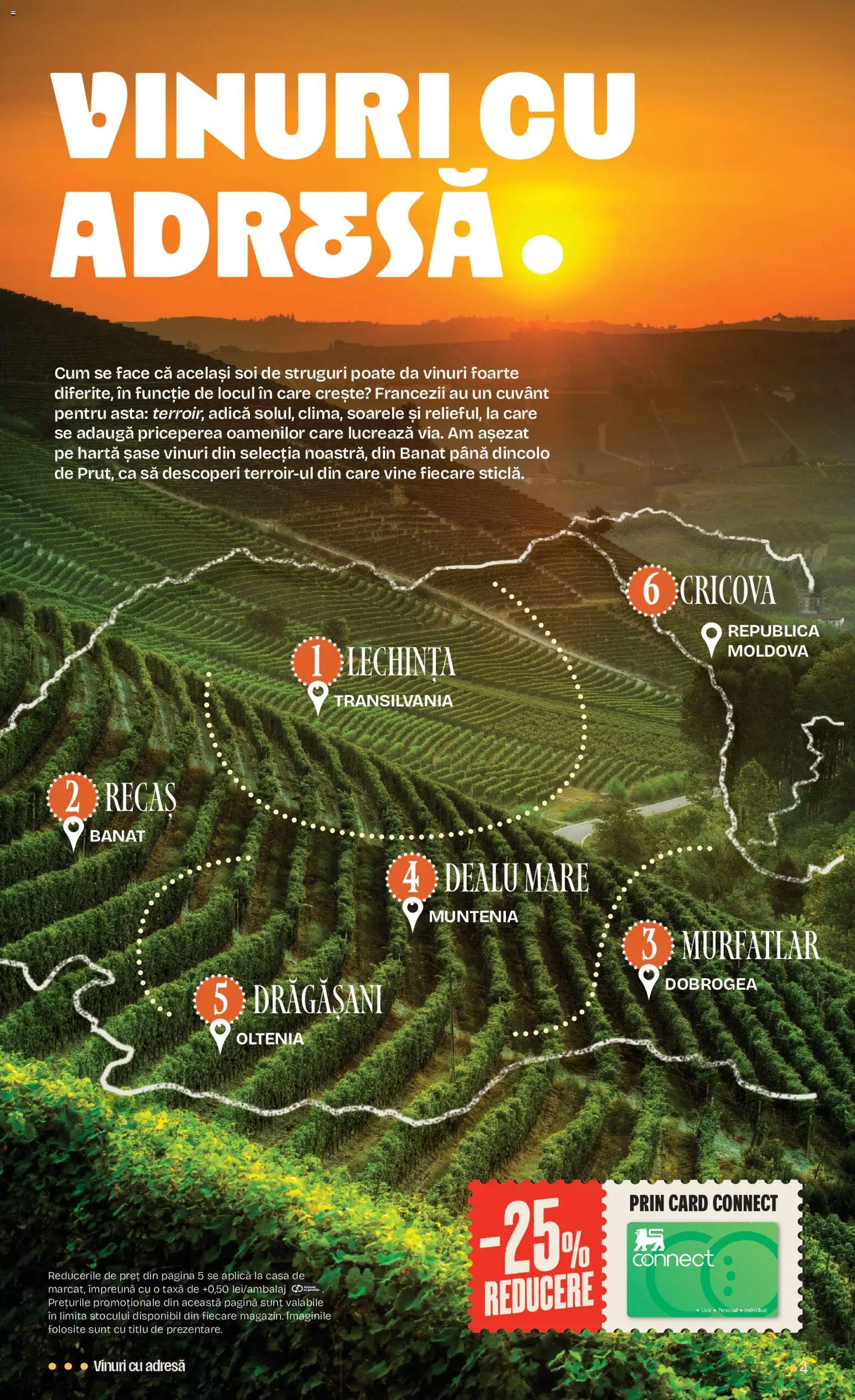 Previzualizarea de cataloage: Mega Image Mega Image Catalog Vinuri valabil de la 15.10.2026 - Struguri, Aplică