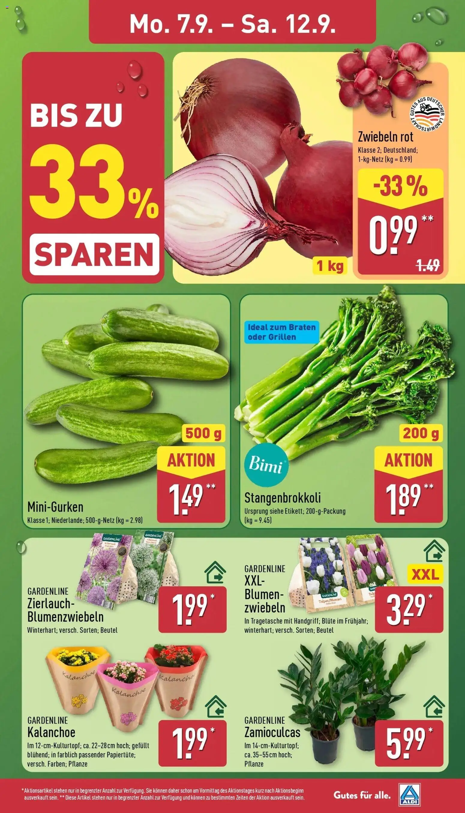 Vorschau von dem Prospekt des Geschäftes Aldi, gültig ab dem 07.09.2026 - Blumen, Zwiebeln