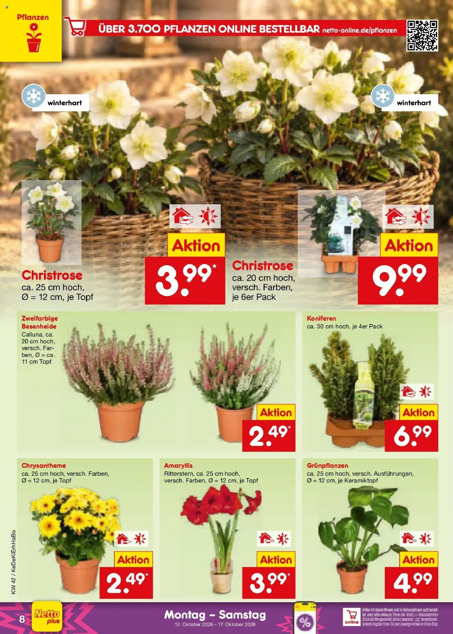 Vorschau von dem Prospekt des Geschäftes Netto Marken-Discount, gültig ab dem 12.10.2026
