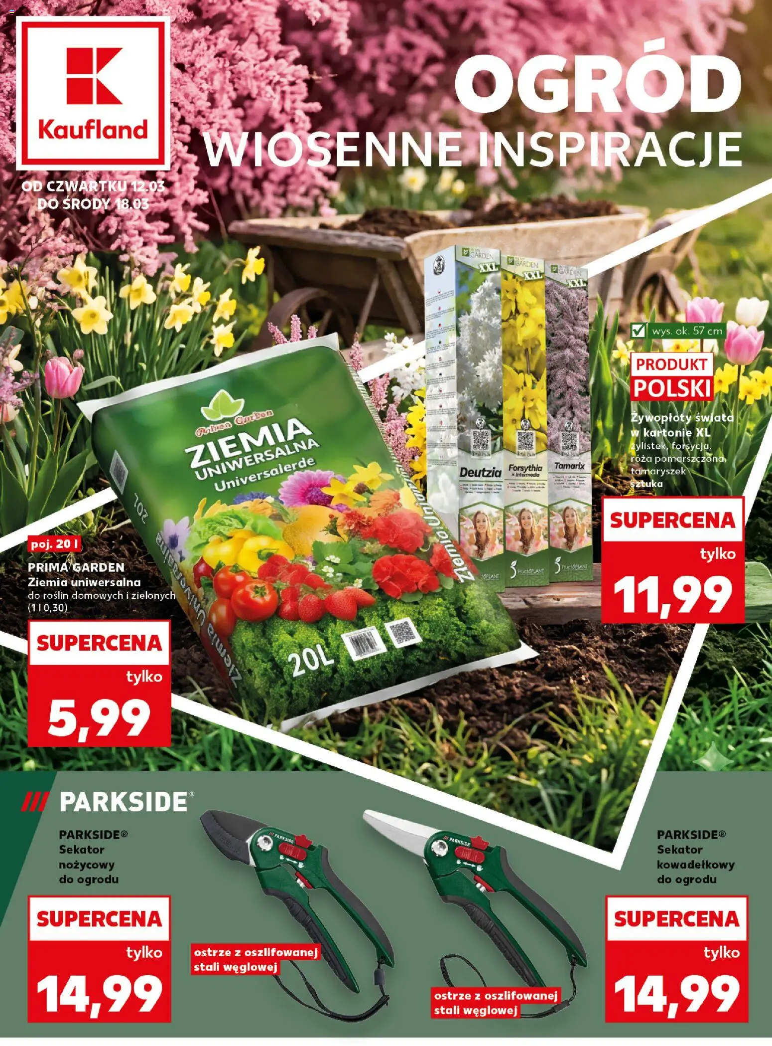 Náhled nabídky: Kaufland Polsko Kaufland Polsko leták - Wiosenne inspiracje platný od 12.03.2026 - Parkside