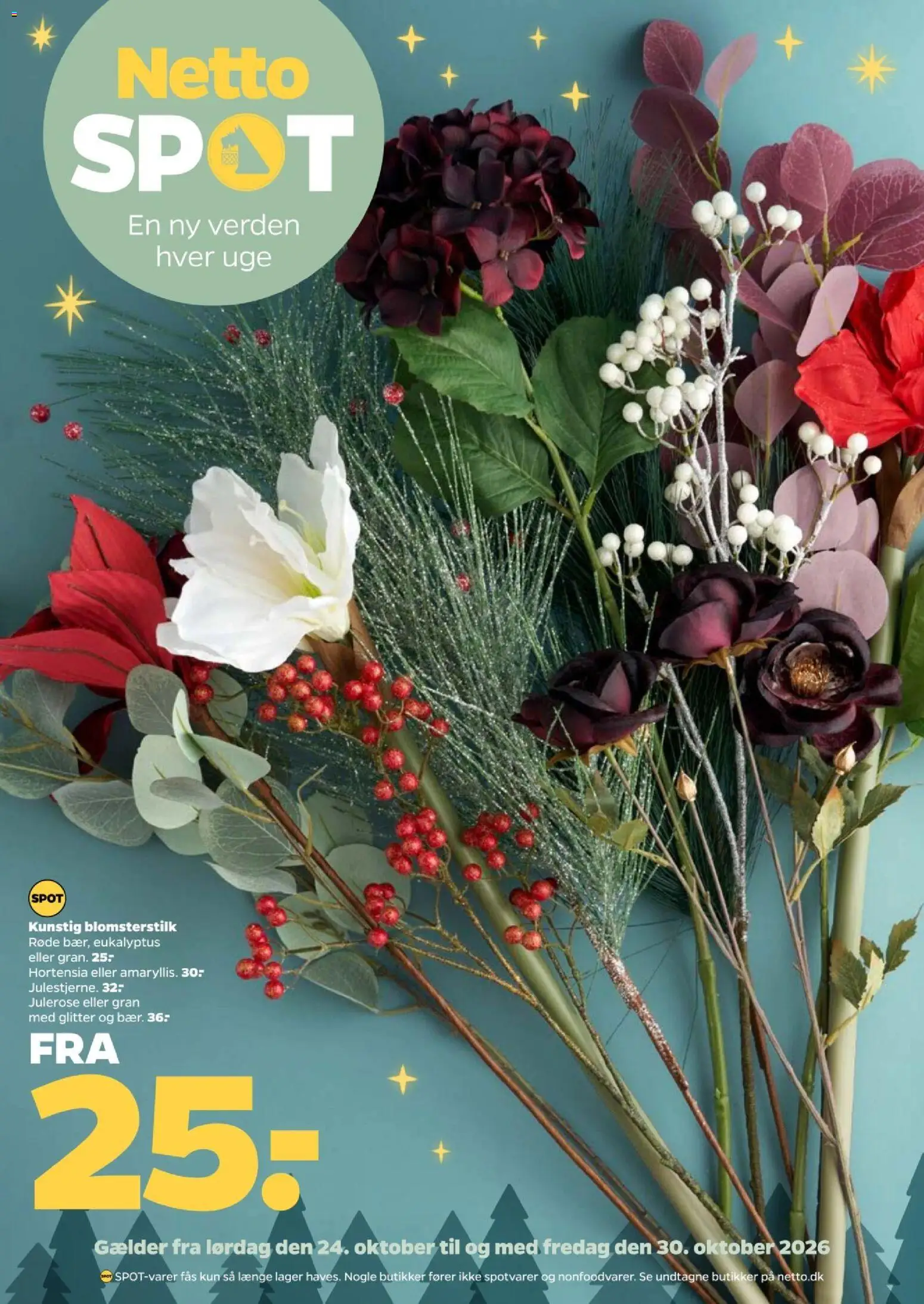 Eksempel på tilbudsavis Netto - Tilbudsavis - Nonfood fra butik Netto gyldig fra 24/10/2026