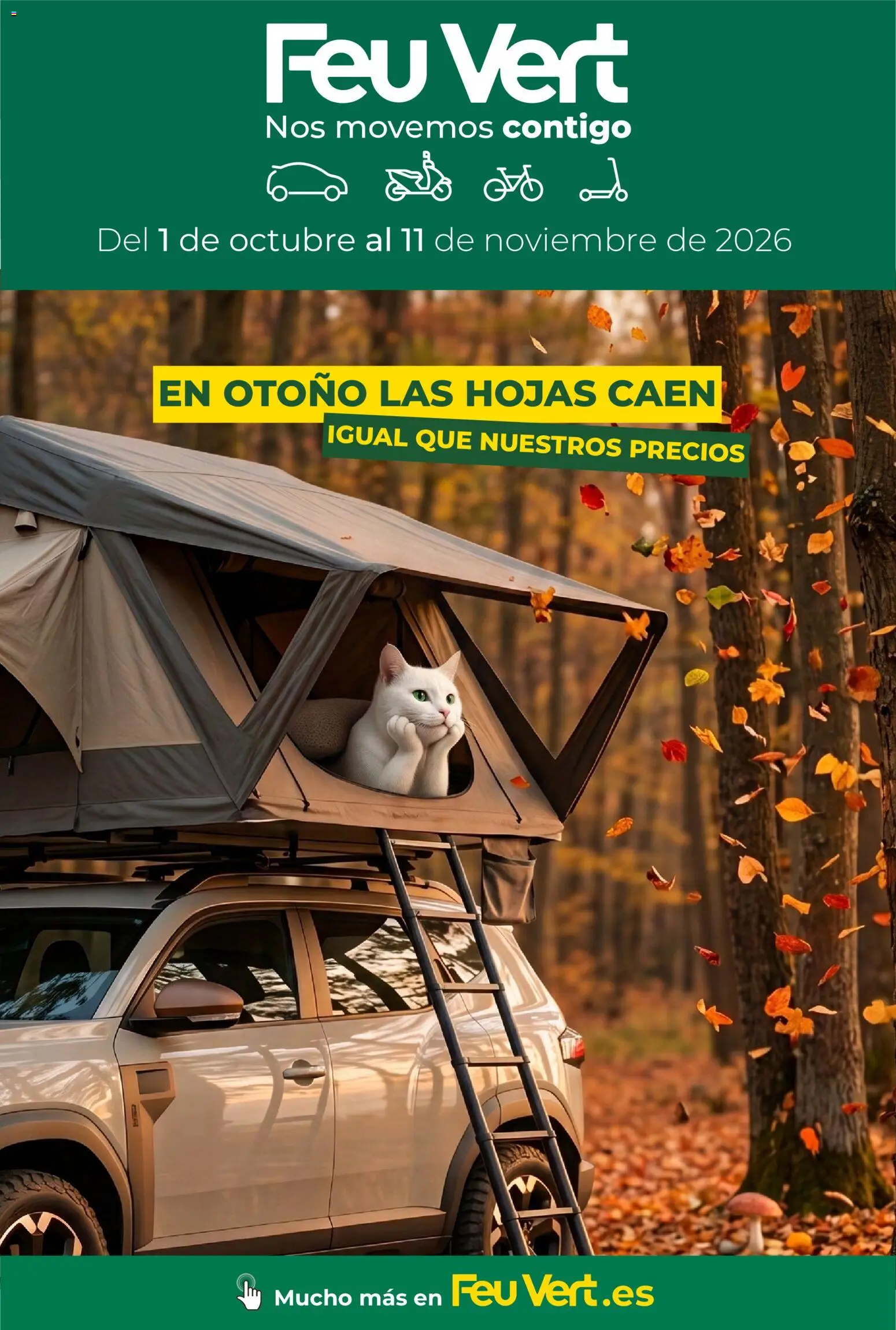 Vista previa del folleto de la tienda FeuVert válido desde el 01/10/2026 