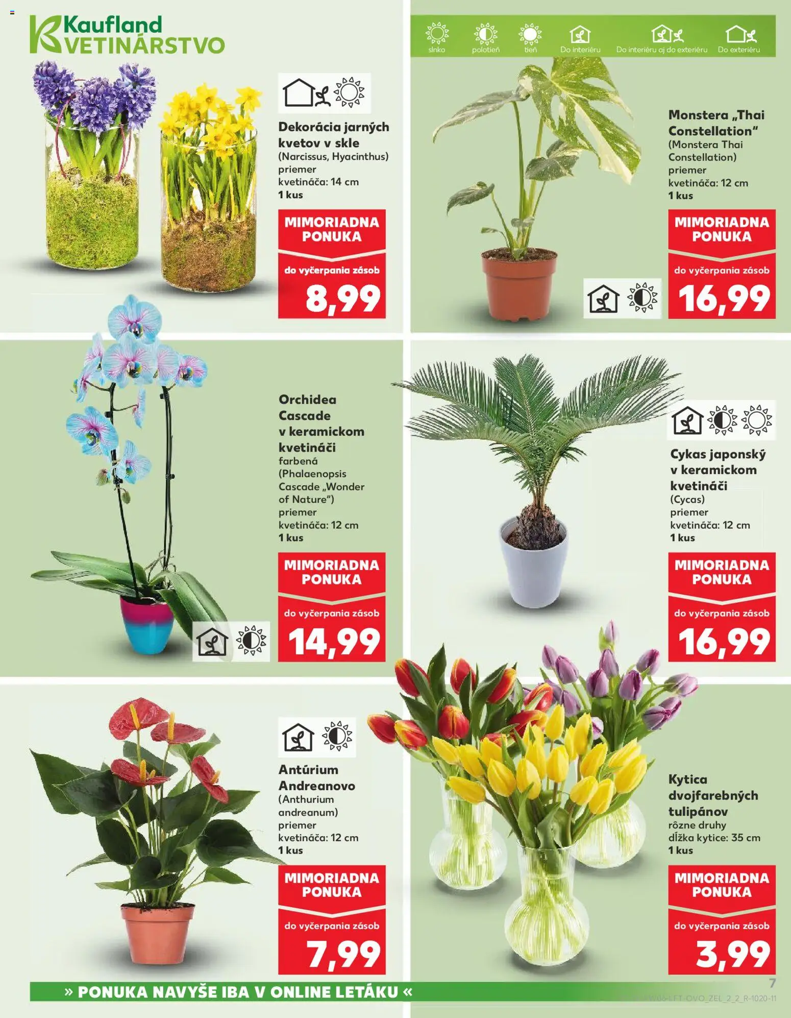 Náhľad Kaufland letáku platného od 05.02.2026