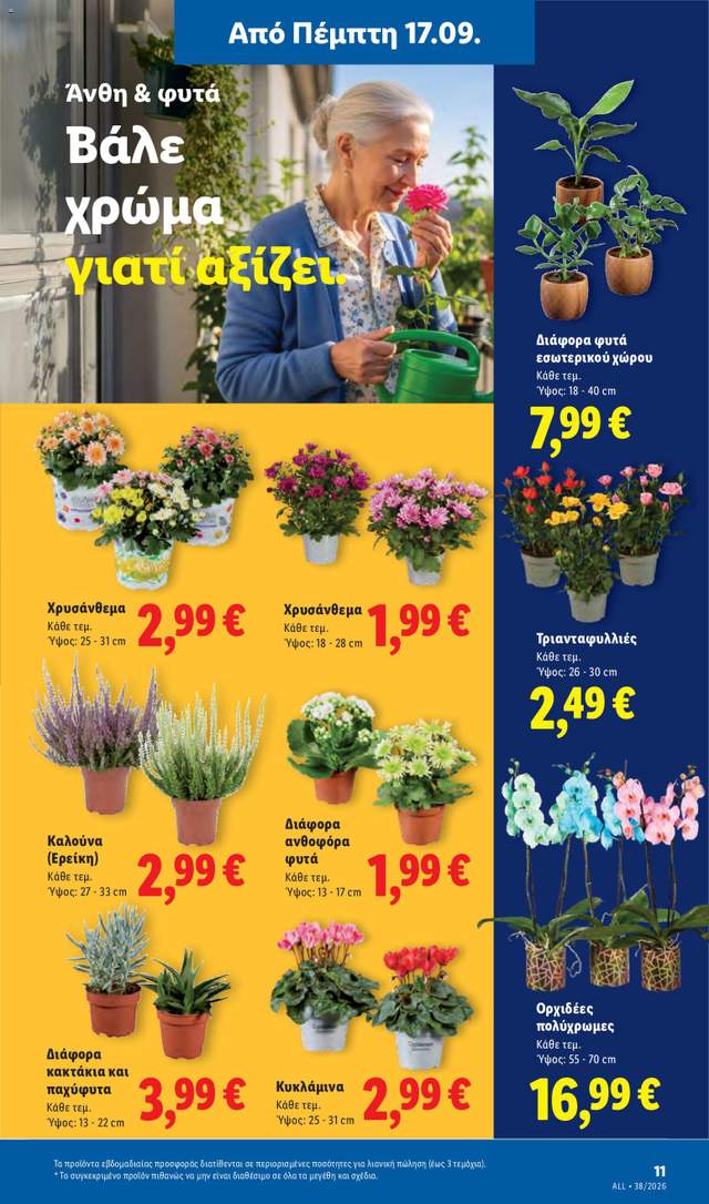 Νέο φυλλάδιο Lidl από τις 17/09