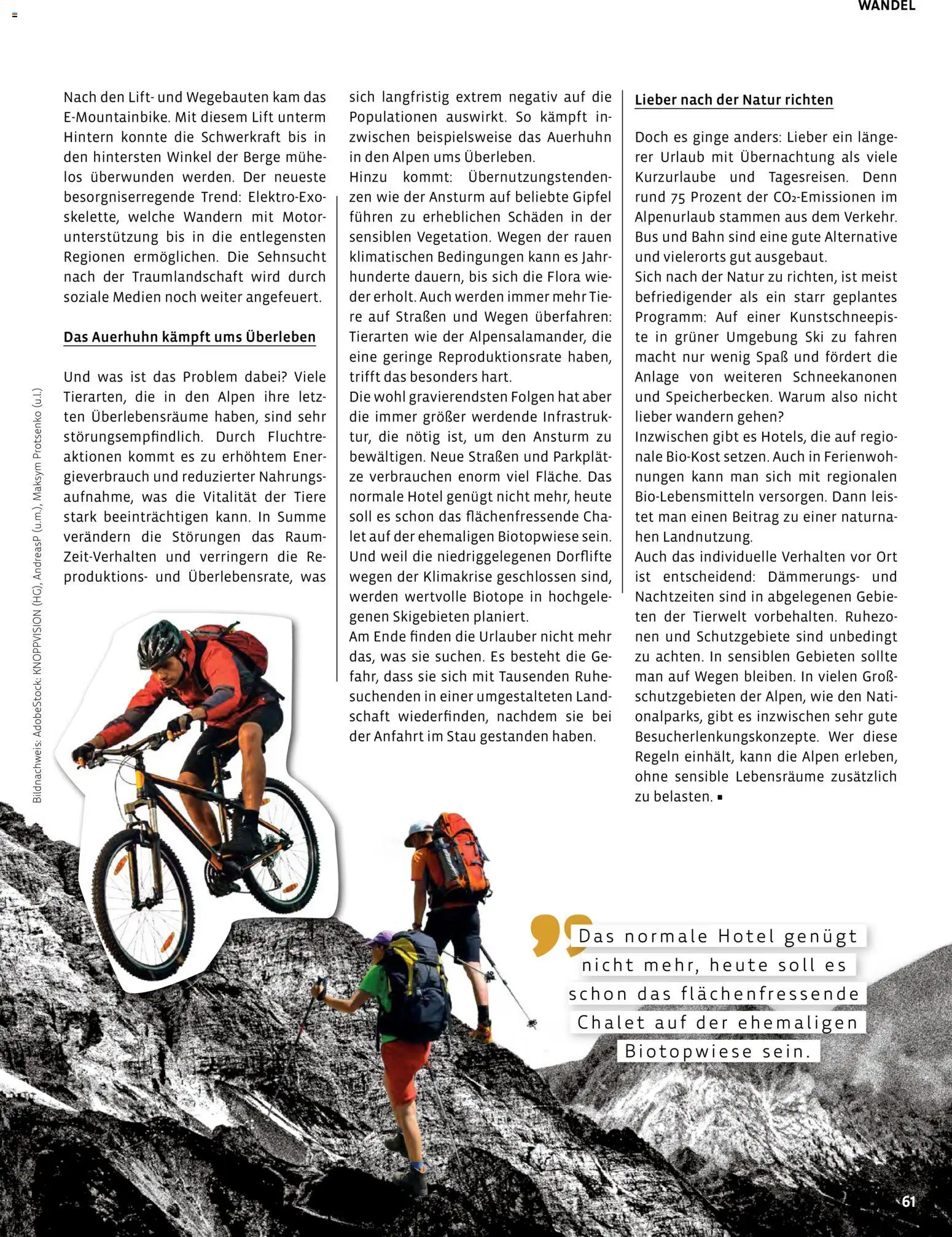 Vorschau von dem Prospekt des Geschäftes BioMarkt, gültig ab dem 17.07.2026 - Ski